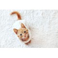 Безопасные ковровые изделия для домашних животных